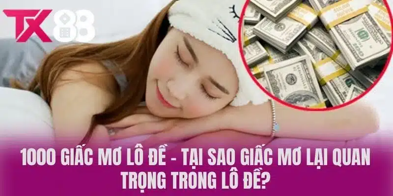 1000 giấc mơ lô đề - Tại sao giấc mơ lại quan trọng trong lô đề?