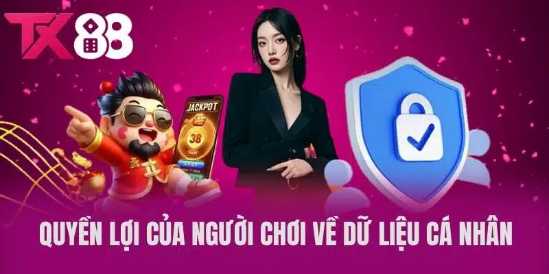 Quyền Lợi Của Người Chơi Về Dữ Liệu Cá Nhân